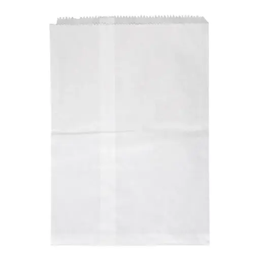 [03-FW10] 10F Flat Bag White